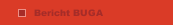 Bericht BUGA